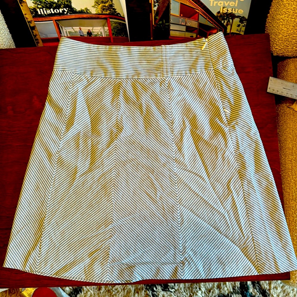 Nordstrom skirt